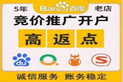 成功SEM推广竞价案例分享