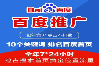竞价排名案例：跨平台推广效果分析